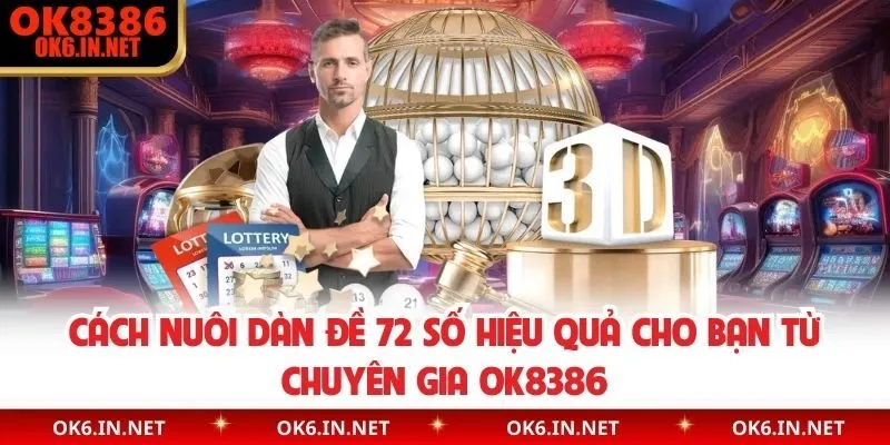 Cách nuôi dàn đề 72 số hiệu quả