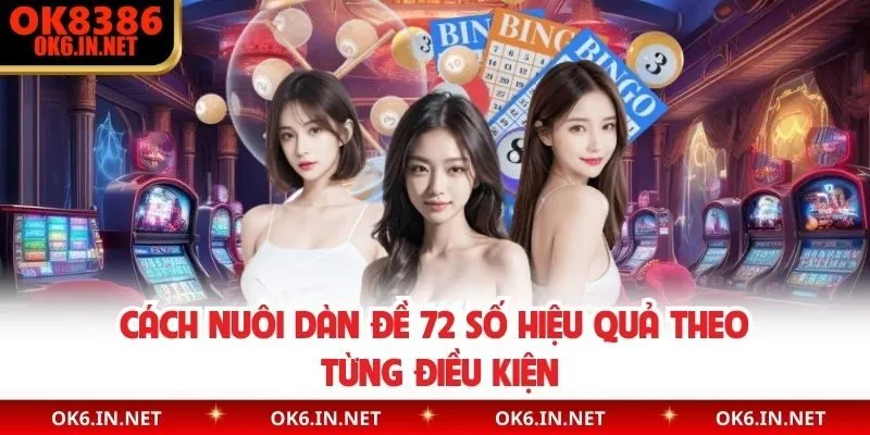 Cách nuôi dàn đề 72 số hiệu quả theo từng điều kiện